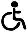 Disabled icon