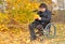 Disabled man in a wheelchair collecting leaves
