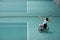 Disabled mature woman on wheelchair playing tennis on tennis court.