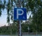 Disabled parking sign at dusk with trees in background