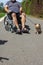 disabled person with little dog and motor wheel chair
