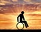 Disabled person in a wheelchair icon man