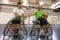 Disabled sport men in action while playing indoor basketball