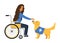 Disabled woman in wheelchair with golden retriever assistant. Service pet and patient isolated on background. Dog therapy