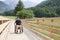 Disabled young man on a wheelchair