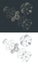 Disassembled Planetary Gearbox Drawings