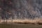 Disaster. Fire in national park. Russia. Burning reeds on Volga River in Astrakhan region. Thick black smoke pollutes the