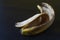 Discarded banana peel on black background