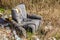 A discarded, black-and-white armchair, on the resulting landfill in the woods. Novi Sad, Serbia.