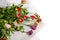 Discarded bouquet of decorative roses, dried flowers on a white, background