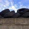 Discarded Car Tyres