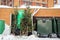 Discarded Christmas trees near trash cans in a residential area