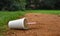 Discarded drink container with straw litters a path in a park