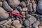 Discarded fishing leader wire on rocky ground