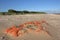 Discarded fishing nets on a beach.