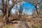 Discarded furniture in nature. Garbage Dumped in Beautiful Nature