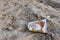 Discarded Paper coffee cup on ground. Disposable coffee cup on sand. The problem of environmental pollution. Pile of abandoned