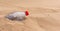 Discarded plastic water bottle half buried on a beach in the sand