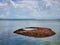 Discarded queen conch shells form small island in Bimini, Bahamas.