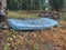 Discarded queen size mattress thrown in the farm