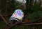 Discarded Soda or Soft Drinks Can in the Forest