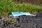 A discarded surgical mask on tarmac at the edge of a country lane