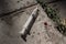 Discarded syringe on concrete outdoors - close up drug concept i