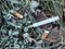 Discarded syringe in gutter