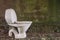 Discarded toilet in a mossy in alley overgrown with moss