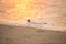 Discarded water bottle laying on a beach.