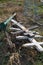 Discarded wooden crosses at cemetery