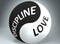 Discipline and love in balance - pictured as words Discipline, love and yin yang symbol, to show harmony between Discipline and