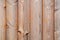 Discolored weathered wooden fence texture