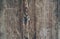 Discolored wooden texture. Vintage rustic style. Natural surface, background and wallpaper