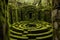 Discover a captivating maze tucked amid the lush greenery of a vibrant forest, An ancient labyrinth with tall, moss-covered stone