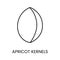 Discover the delicate flavor, Apricot Kernels. A minimalistic line vector icon symbolizing the subtle taste and texture.