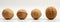 Discover the Fascinating Universe in Four Different Sized Walnuts!