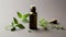 Discover the Healing Power of Nature with Herb Essential Oil. Aromatherapy at Its Best. Generative AI