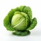 Discover The Incredible Health Benefits Of Cabbage