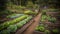Discovering the Serene Harmony of a Garden Filled with Varied Plants and Vegetables. Generative AI