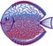 Discus Aquarium fish vector