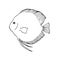 Discus fish. Hand drawing sketch. Black outline on white background. Vector illustration. EPS10