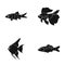 Discus, gold, carp, koi, scleropages, fotmosus.Fish set collection icons in black style vector symbol stock illustration