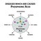 Diseases that cause orthophosphoric acid. The chemical formula of Phosphoric acid. Infographics. Vector