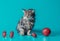 disgruntled cat with christmas balls on a turquoise background