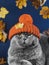 A disgruntled gray Scottish cat sits in a knitted orange hat with folded shoulder straps.