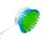 Dish brush