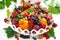 Dish with different fresh seasonal fruits and berries on white