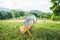 Dish drainer on green grass, forest and mountain view