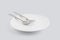 Dish spoon and fork isolated on white background, utensil for food, ceramic plate with empty.